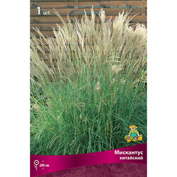 ����  ������� ���������� ����������, ������ �� 421 ���