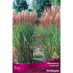 ����  ��������� ��������� ��������, ������ �� 445 ���