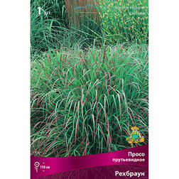 ����  ����� ������������ ��������, ������ �� 387 ���