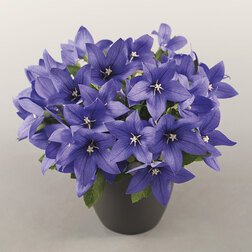 ����  ���������� ��� ���� ��� (��-100��) ���������������� ������, ������ �� 1408 ���