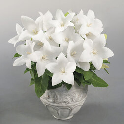 ����  ���������� ��� ���� ���� (��-100��) ���������������� ������, ������ �� 1408 ���