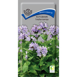 ����  �������� ������� �������, ������ �� 80 ���