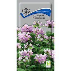 ����  �������� ������� �������, ������ �� 80 ���