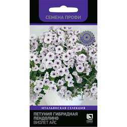 ����  ������� ��������� ��������� ������ ��� (������ �����), ������ �� 85 ���