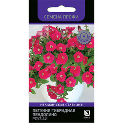 ����  ������� ��������� ��������� ���� �� (������ �����), ������ �� 85 ���