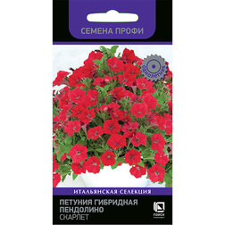 ����  ������� ��������� ��������� ������� (������ �����), ������ �� 85 ���