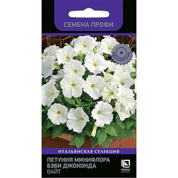 ����  ������� ��������� ���� �������� ���� (������ �����), ������ �� 164 ���