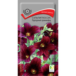 ����  ������������� ��������� ���������, ������ �� 54 ���