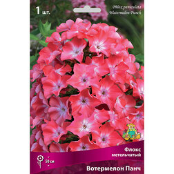 ����  ����� ����������� ��������� ����, ������ �� 314 ���