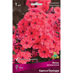 ����  ����� ����������� ������ ������, ������ �� 258 ���