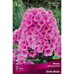 ����  ����� ����������� ���� ����, ������ �� 263 ���