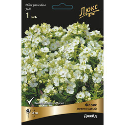 ����  ����� ����������� �����, ������ �� 391 ���