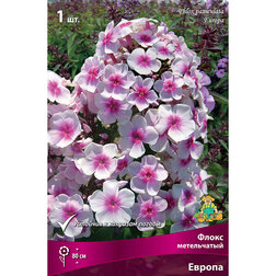 ����  ����� ����������� ������, ������ �� 246 ���