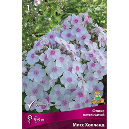 ����  ����� ����������� ���� �������, ������ �� 258 ���