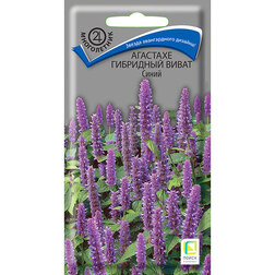 ����  �������� ��������� ����� �����, ������ �� 81 ���