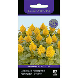 ����  ������� �������� ������� ����� (������ �����), ������ �� 39 ���