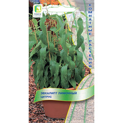 ����  �������� �������� ������, ������ �� 213 ���