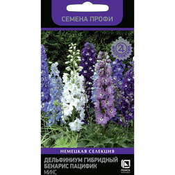 ����  ���������� ��������� ������� ������� ���� (������ �����), ������ �� 54 ���