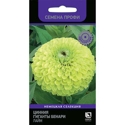 ����  ������ ������� ������ ���� (������ �����), ������ �� 115 ���