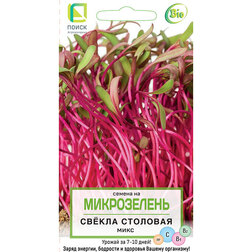 ����  ������ �������� ���� (�����������), ������ �� 33 ���