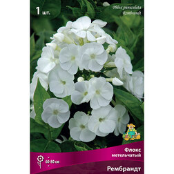 ����  ����� ����������� ���������, ������ �� 258 ���