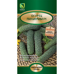 ����  ������ �������� F1, ������ �� 48 ���