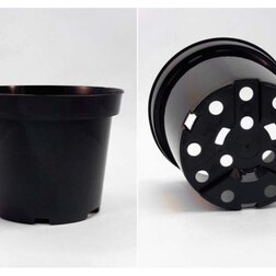 ����  ������ D17 ������ V2�, ������ �� 34 ���