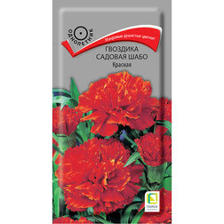 ����  �������� ������� ���� �������, ������ �� 26 ���