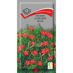 ����  ������ ��������� �������, ������ �� 26 ���