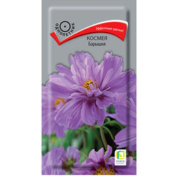 ����  ������ �������, ������ �� 29 ���