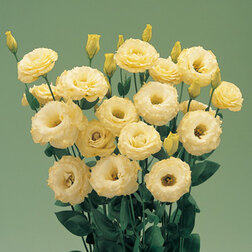 ����  ������� ��������������� ����� III ���� (1��-1000�����) ���������������� ������, ������ �� 13600 ���