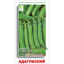 ����  ����� ������� ����������, ������ �� 29 ���