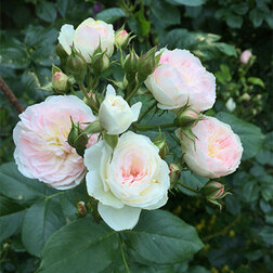 ����  ���� ��������� ������� ����� �����, ������ �� 939 ���