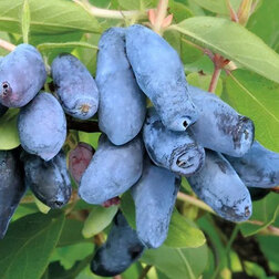 ����  ��������� ��������� ������� ������, ������ �� 349 ���