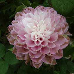 ����  �������� ��������������� ������� ����� (1-�����), ������ �� 1269 ���