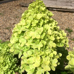 ����  ��������� ����������� ������ (����� �����), ������ �� 654 ���