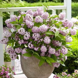 ����  ������ ��������� ��������� ������ (����� �����), ������ �� 688 ���