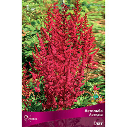 ����  �������� ������� ����, ������ �� 263 ���