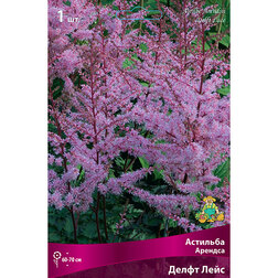 ����  �������� ������� ����� ����, ������ �� 464 ���