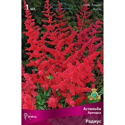 ����  �������� ������� (������), ������ �� 283 ���