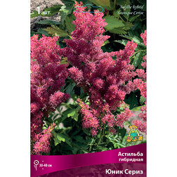 ����  �������� ��������� ���� �����, ������ �� 328 ���