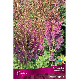 ����  �������� ��������� ���� �����, ������ �� 360 ���