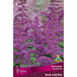 ����  �������� ��������� ���� ��� ���, ������ �� 328 ���