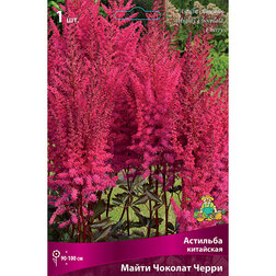 ����  �������� ��������� ����� ������� �����, ������ �� 399 ���