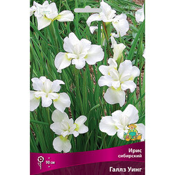 ����  ���� ��������� ����� ����, ������ �� 292 ���