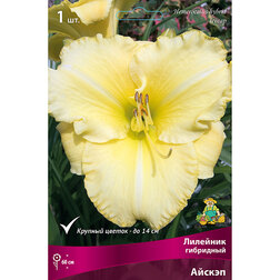 ����  �������� ��������� ������, ������ �� 459 ���