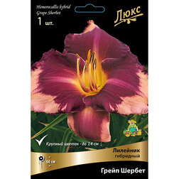 ����  �������� ��������� ����� ������ *, ������ �� 625 ���