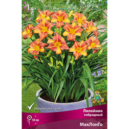 ����  �������� ��������� �������� (����� �����), ������ �� 368 ���