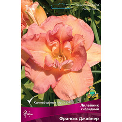 ����  �������� ��������� ������� �������, ������ �� 501 ���