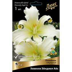 ����  �������� ��������� ������� ������� ��� *, ������ �� 501 ���